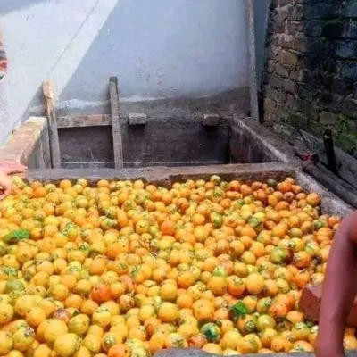 গাজায় জাতিসংঘের চেতনা মরে গেছে: এরদোয়ান