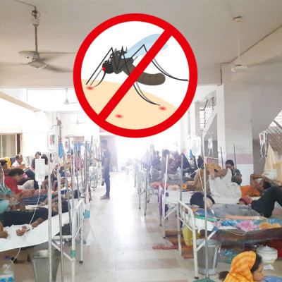 ডেঙ্গুতে মৃত্যু ৭০০ ছাড়িয়েছে