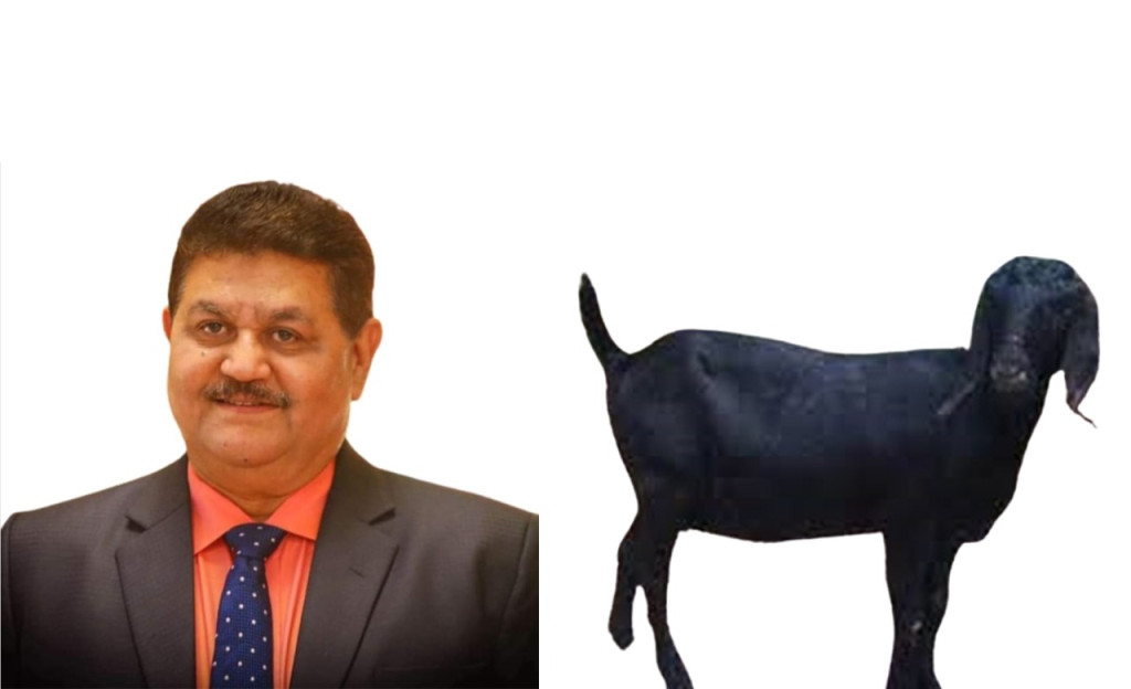 ছাগল চুরির অভিযোগ নওপাড়া ইউনিয়নের চেয়ারম্যান জাকির মুন্সীর বিরুদ্ধে