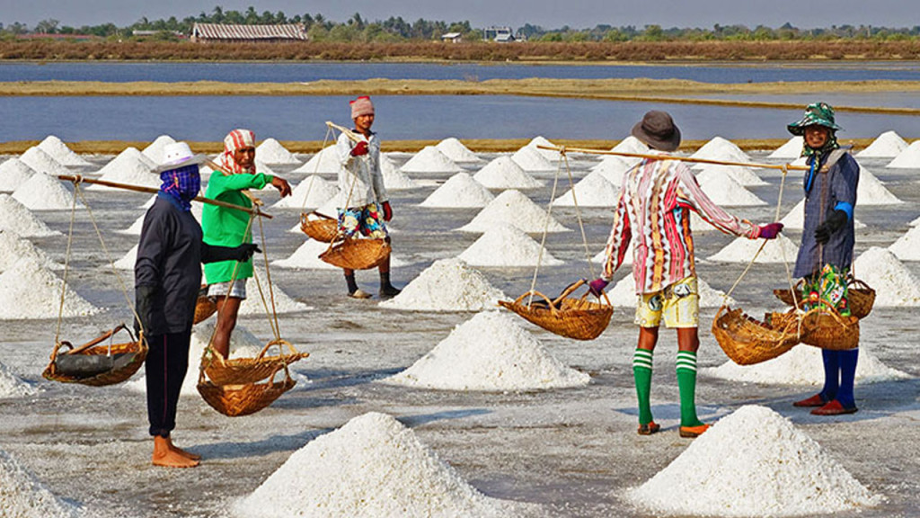 মাঠের ৭ টাকার লবণ যেভাবে ভোক্তাপর্যায়ে ৪২ টাকা