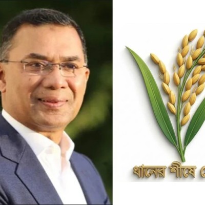 ধানের শীষের সাথে দাঁড়িপাল্লার প্রতিযোগিতা হয় না