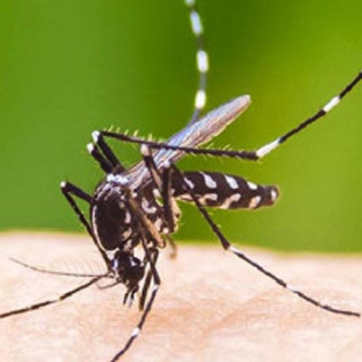 নড়াইলে ডেঙ্গু আক্রান্ত হয়ে শিক্ষকের মৃত্যু