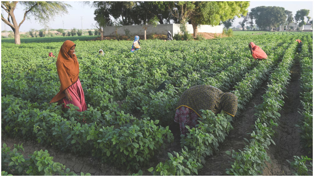 ভারতের পানি বন্ধ করার হুমকিতে পাকিস্তানে আতঙ্ক