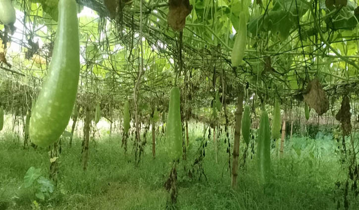 ফিলিস্তিনিদের ধাওয়া খেয়ে পালালেন জার্মান রাষ্ট্রদূত