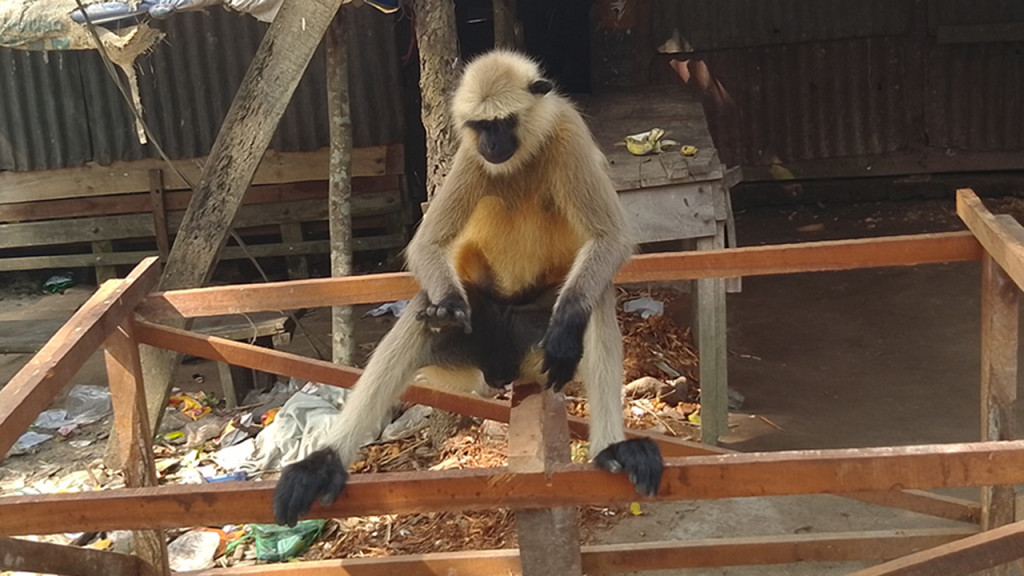 ১০ দিন পর মা হওয়ার খবর জানালেন ইয়ামি গৌতম