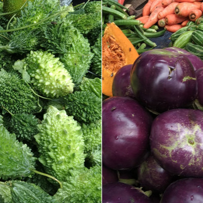 অবাধ, সুষ্ঠু ও নিরপেক্ষ ভোট হবে: প্রধানমন্ত্রী