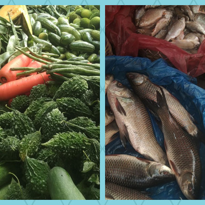 ফেনীতে জাল ভোট দিতে গিয়ে সহকারী প্রিসাইডিং কর্মকর্তাসহ আটক ১৪