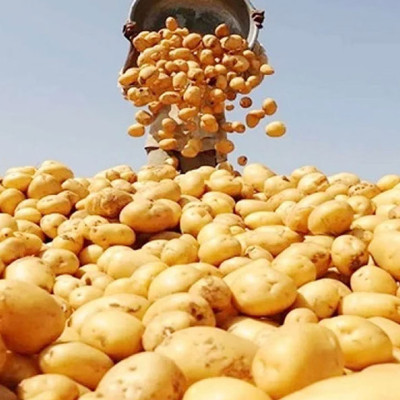 দেশের পথে প্রধানমন্ত্রী শেখ হাসিনা