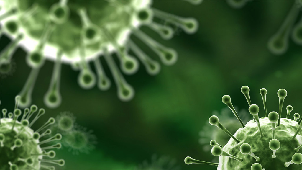 বাংলাদেশিদের ওপর হবে নিপাহ ভাইরাসের ভ্যাকসিনের ট্রায়াল