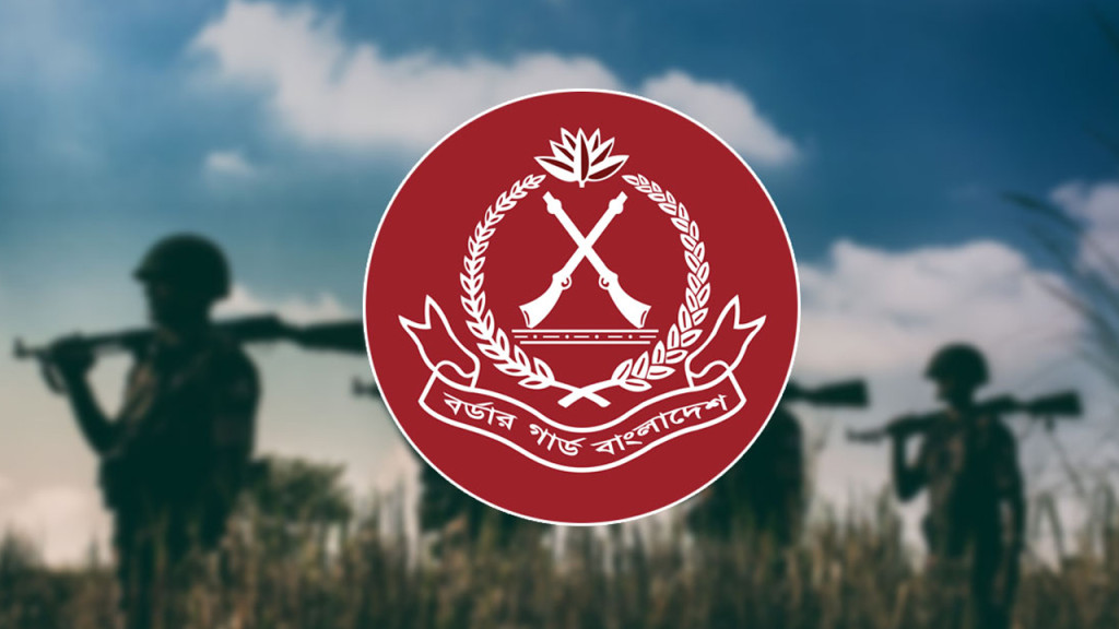 ডিসেম্বরে বিজিবির অভিযানে ২৬৬ কোটি টাকার চোরাচালান পণ্য জব্দ