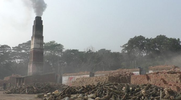 নড়াইলে অনুমোদন ছাড়াই চলছে অধিকাংশ ইটভাটা