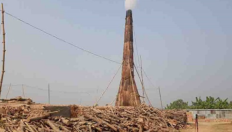 নড়াইলে ৭৭ ভাগ ইটভাটা অনুমোদনহীন, অবাধে পুড়ছে কাঠ