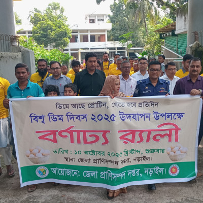 ‘প্রতিদিন একটিমাত্র ডিম, শরীর থাকবে সুস্থ-সবল’-নড়াইলে বিশ্ব ডিম দিবস উদযাপন