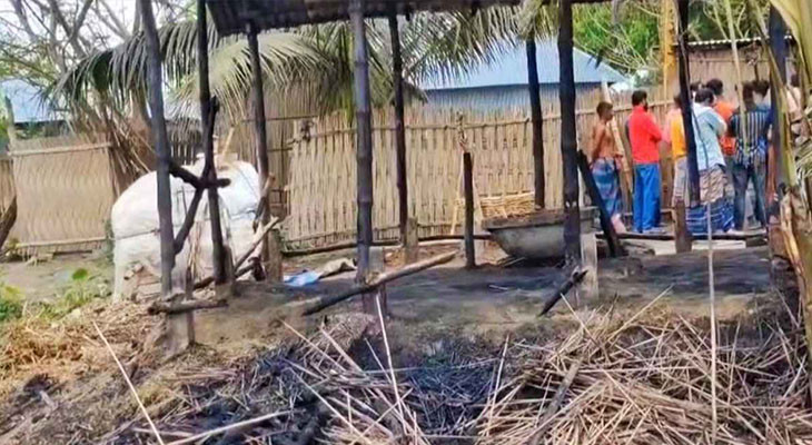 নড়াইলে আগুনে পুড়ে মারা গেল দিনমজুরের ৩ গরু