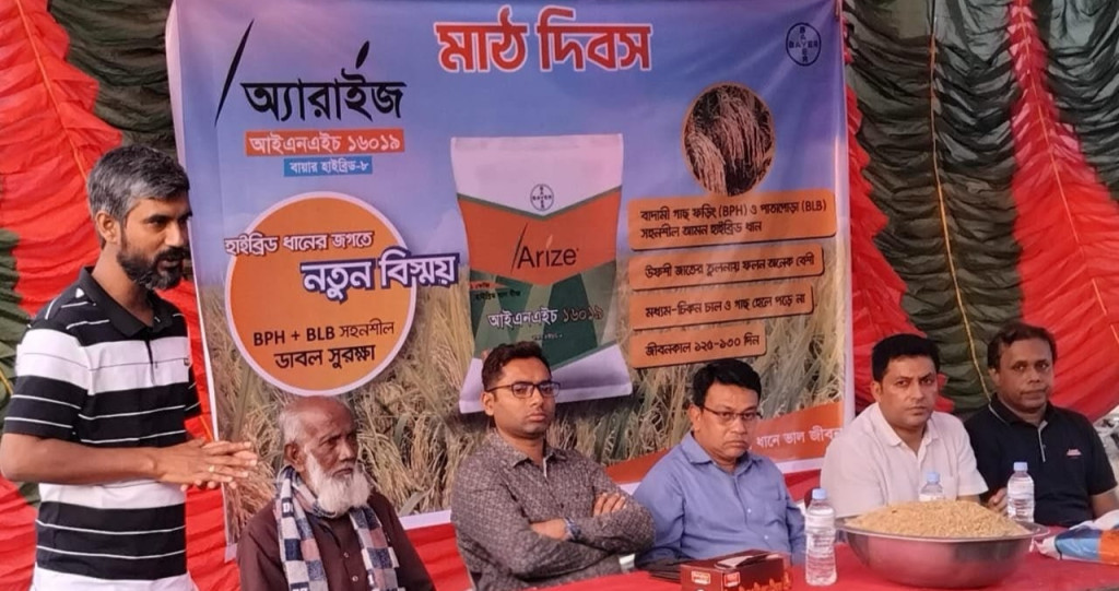 নড়াইলে উন্নত জাতের ধান নিয়ে মাঠদিবস অনুষ্ঠিত