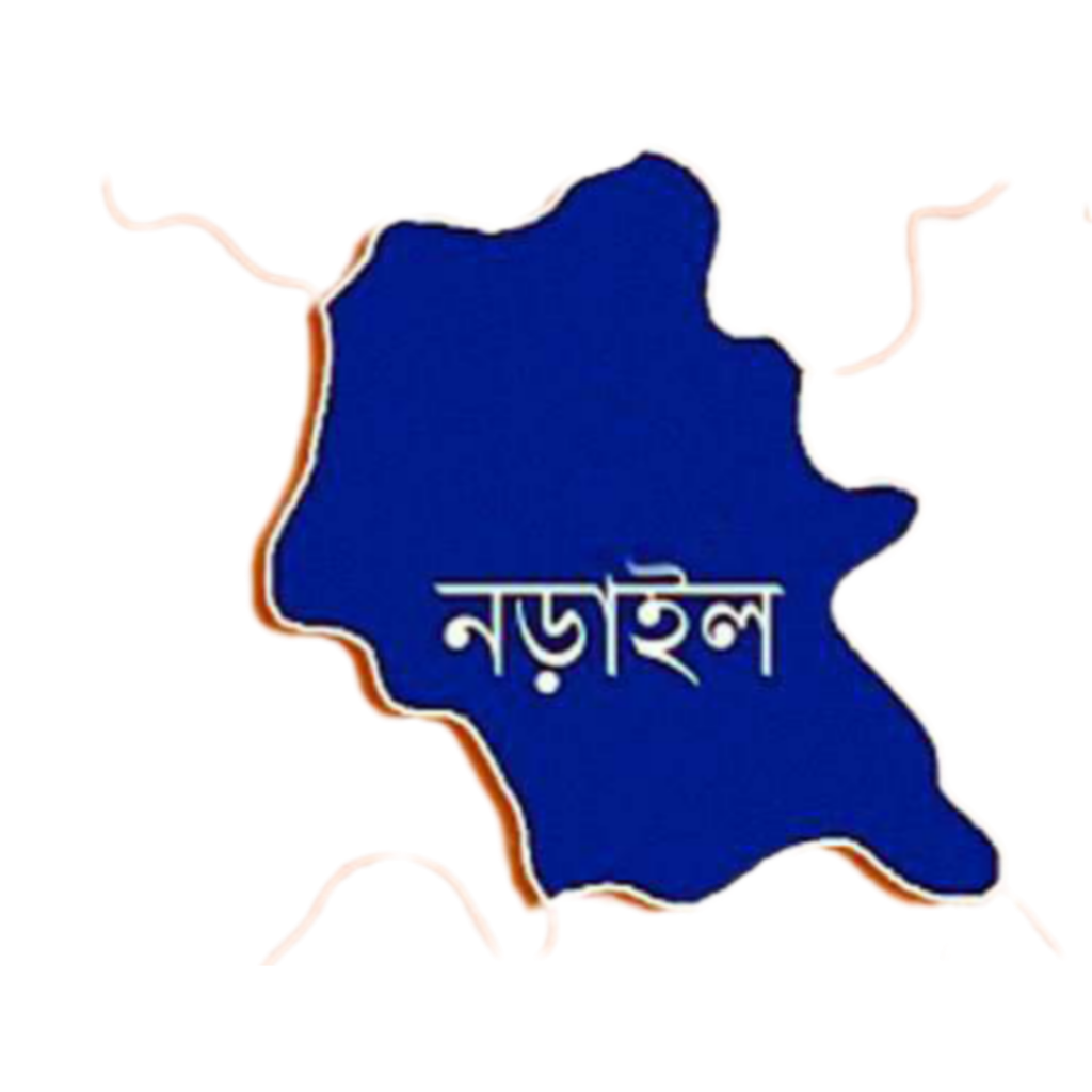 নড়াইলে মায়ের সামনেই ইজিভ্যানে পিষ্ট হলো ৪ বছরের শিশু