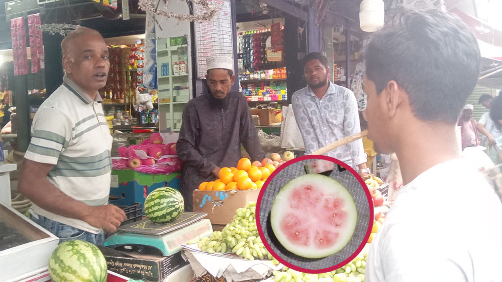 কুষ্টিয়ায় অপরিপক্ক তরমুজ বিক্রি হচ্ছে ৮০ টাকা কেজিতে