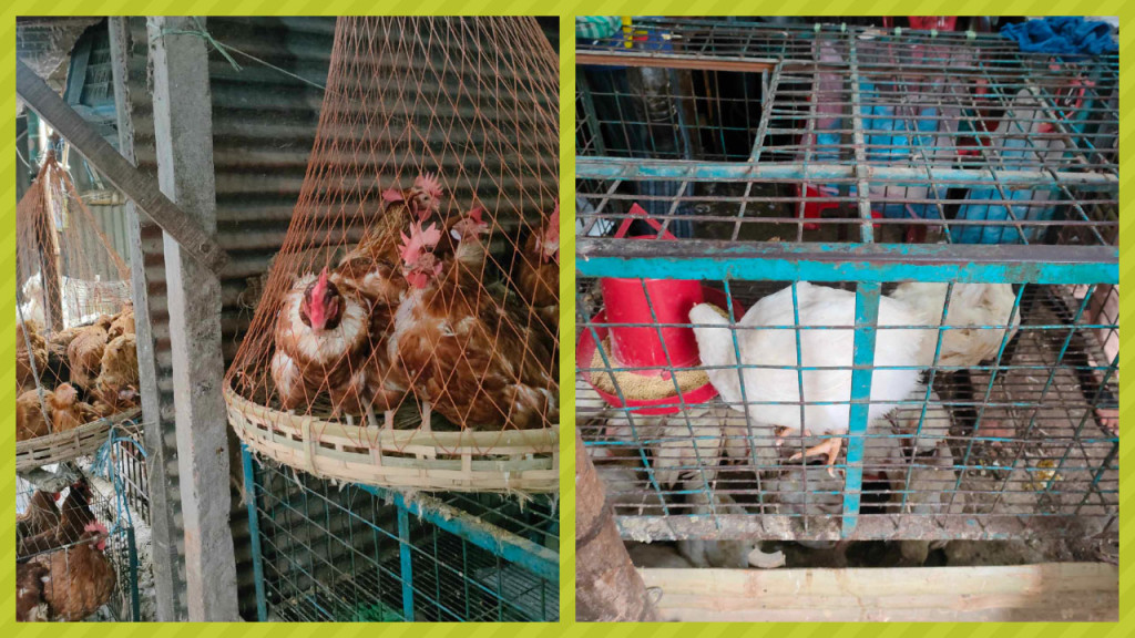 এভাবে সবকিছুর দাম বাড়তে থাকলে আমরা চলব কী করে?