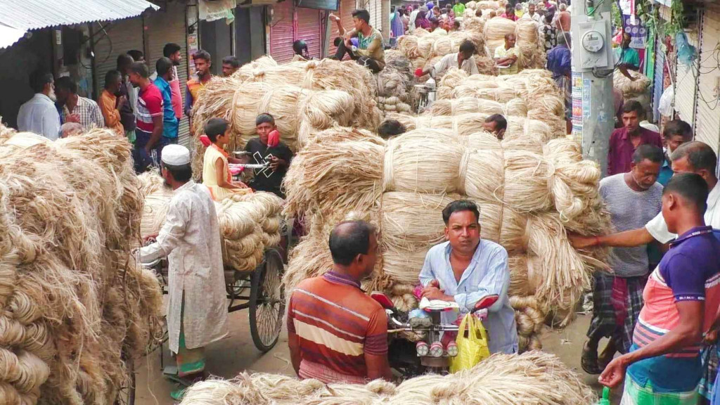 ভরা মৌসুমেও পাট বাজারে ধস, বিপাকে নড়াইলের চাষিরা