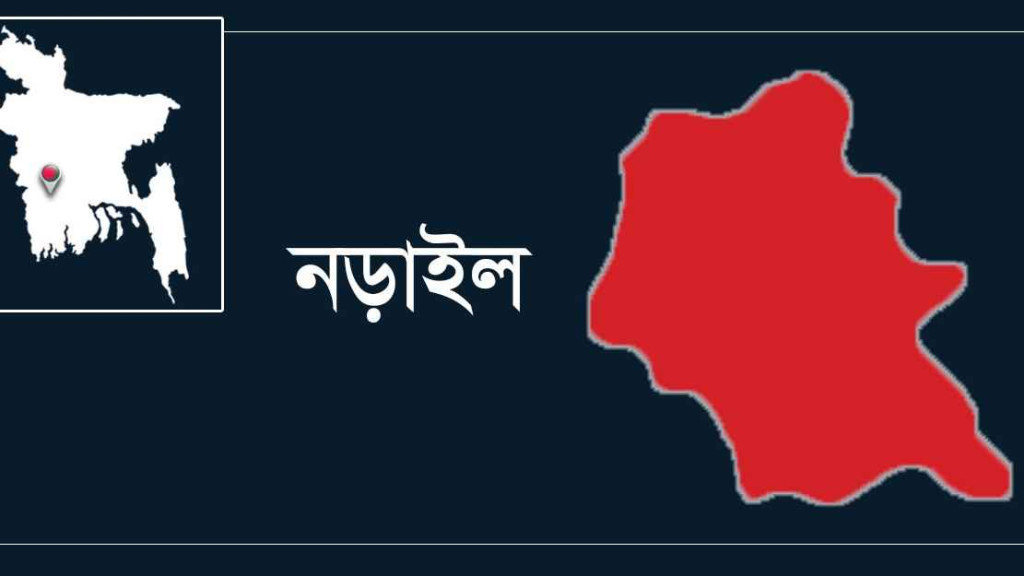 নড়াইলে পানিতে ডুবে প্রাণ গেল নানি ও নাতির