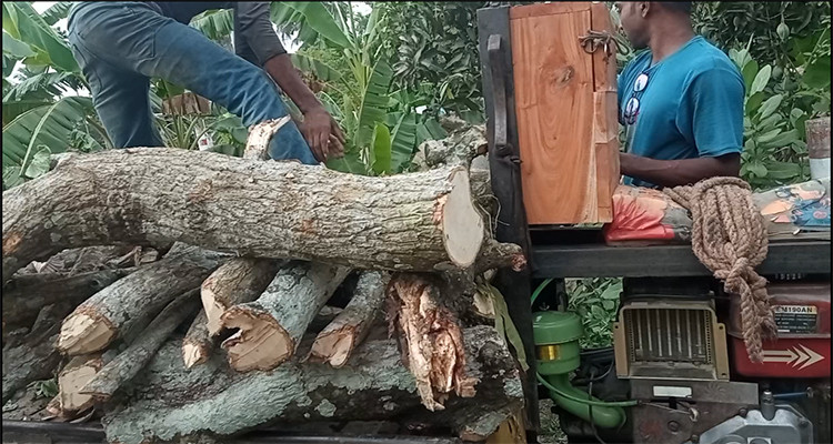 ফের নড়াইল জেলা পরিষদের গাছ গোপনে বিক্রির অভিযোগ!