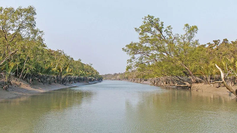সুন্দরবনে প্রবেশে নিষেধাজ্ঞা উঠছে আজ
