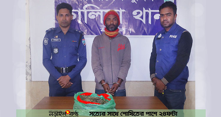কালিয়ায় পুলিশের অভিযানে ৫০০ গ্রাম গাঁজাসহ ১ জন গ্রেফতার