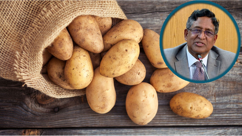 আলুর কেজি কোনোভাবেই ৪০ থেকে ৪৫ টাকার বেশি হতে পারে না