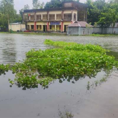 লালমনিরহাটে নামতে শুরু করেছে তিস্তার পানি