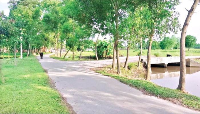 উন্নয়ন জাদু’তে বদলে গেছে জীবনধারা