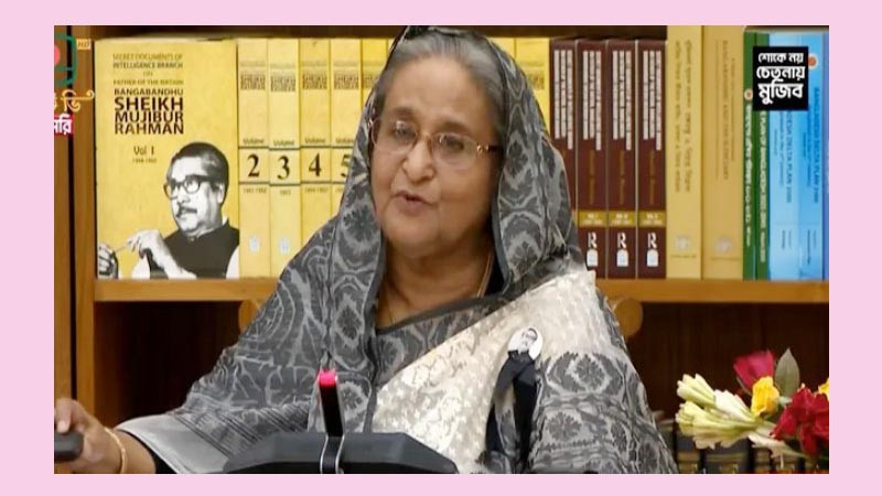 দেশের প্রতিটি মানুষের জীবনমান উন্নত করতে চাই: প্রধানমন্ত্রী