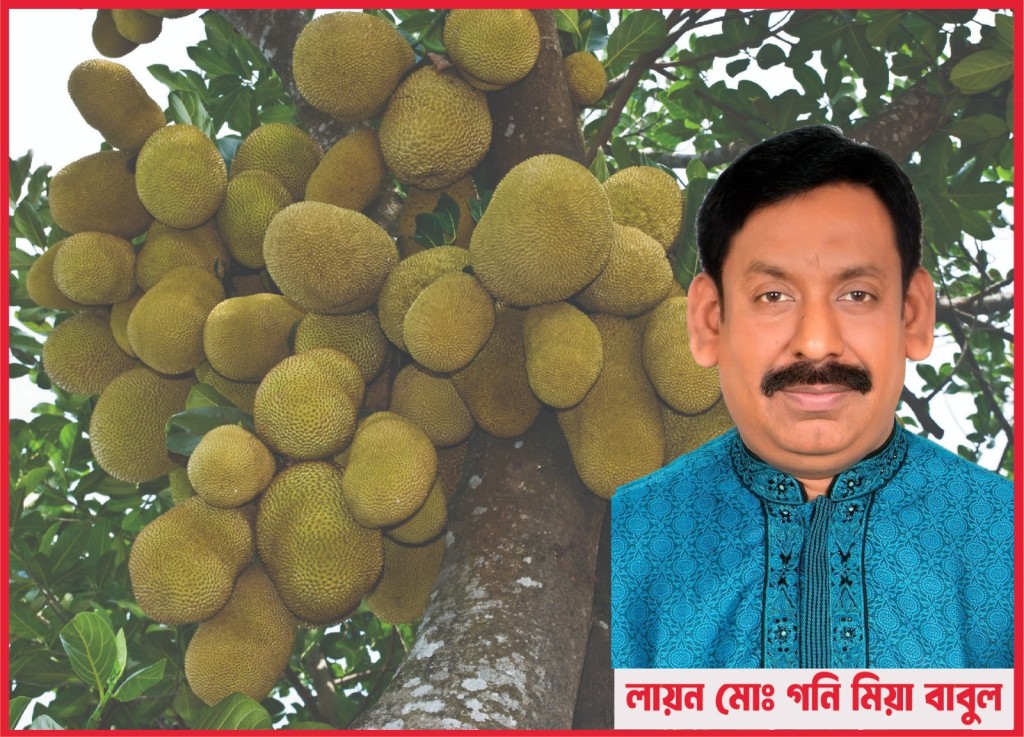 কাঁঠালের পুষ্টিমান প্রক্রিজাতকরণ ও অর্থনৈতিক গুরুত্ব-  লায়ন মোঃ গনি মিয়া বাবুল