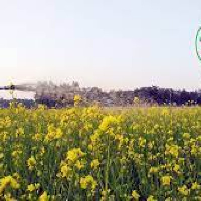 রবি মৌসুমে ১০ ফসলে প্রণোদনা দেওয়া হবে ১৮৯ কোটি টাকা