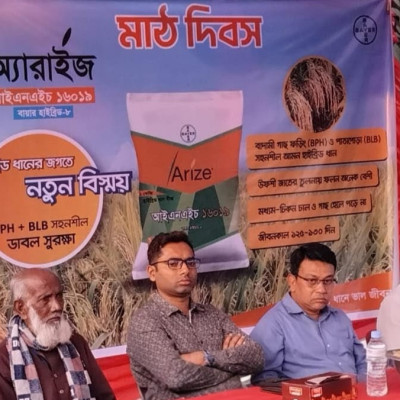 নড়াইলে উন্নত জাতের ধান নিয়ে মাঠদিবস অনুষ্ঠিত