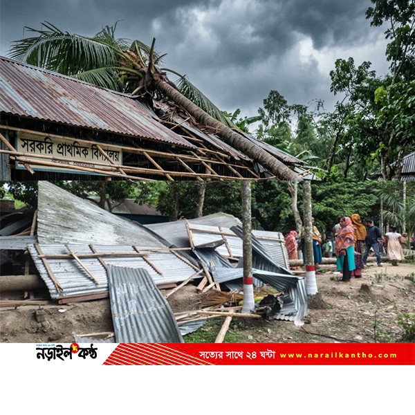 কালিয়ায় স্কুলের টিনশেডে নারিকেল গাছ ভেঙে পড়ে আহত ২ শিক্ষার্থী, একজনের অবস্থা আশঙ্কাজনক